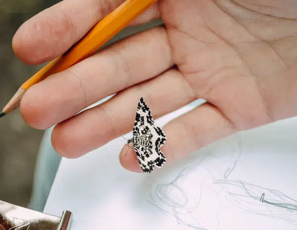 manutenzione gioielli ab lab 02